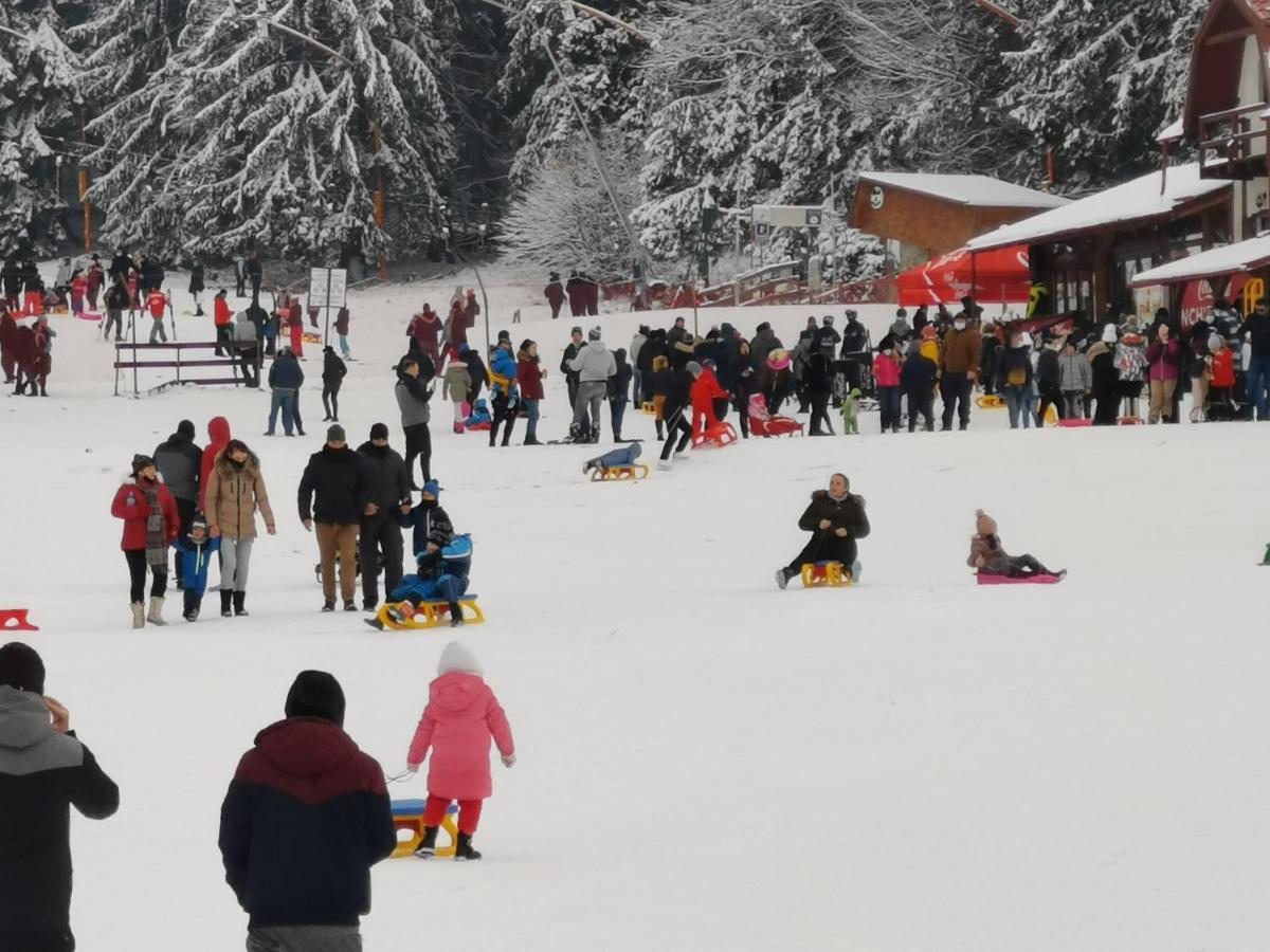 Appartamento Apartament Ana Poiana Brasov Esterno foto