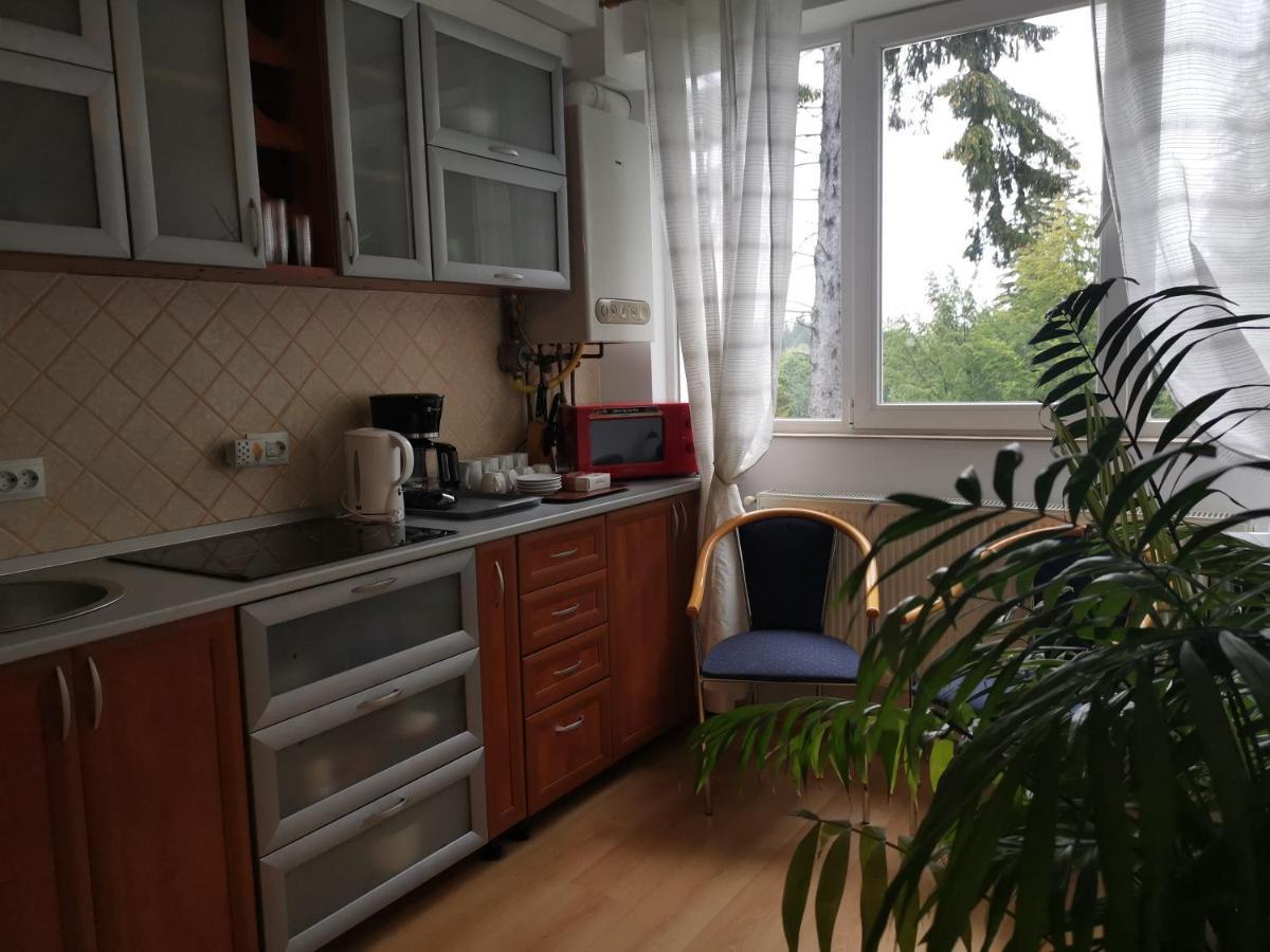 Appartamento Apartament Ana Poiana Brasov Esterno foto