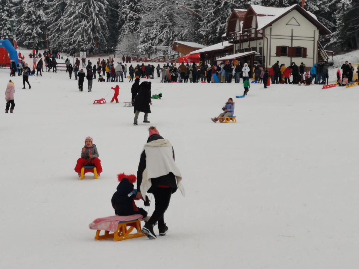 Appartamento Apartament Ana Poiana Brasov Esterno foto