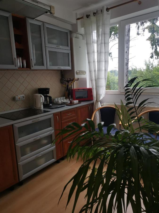 Appartamento Apartament Ana Poiana Brasov Esterno foto