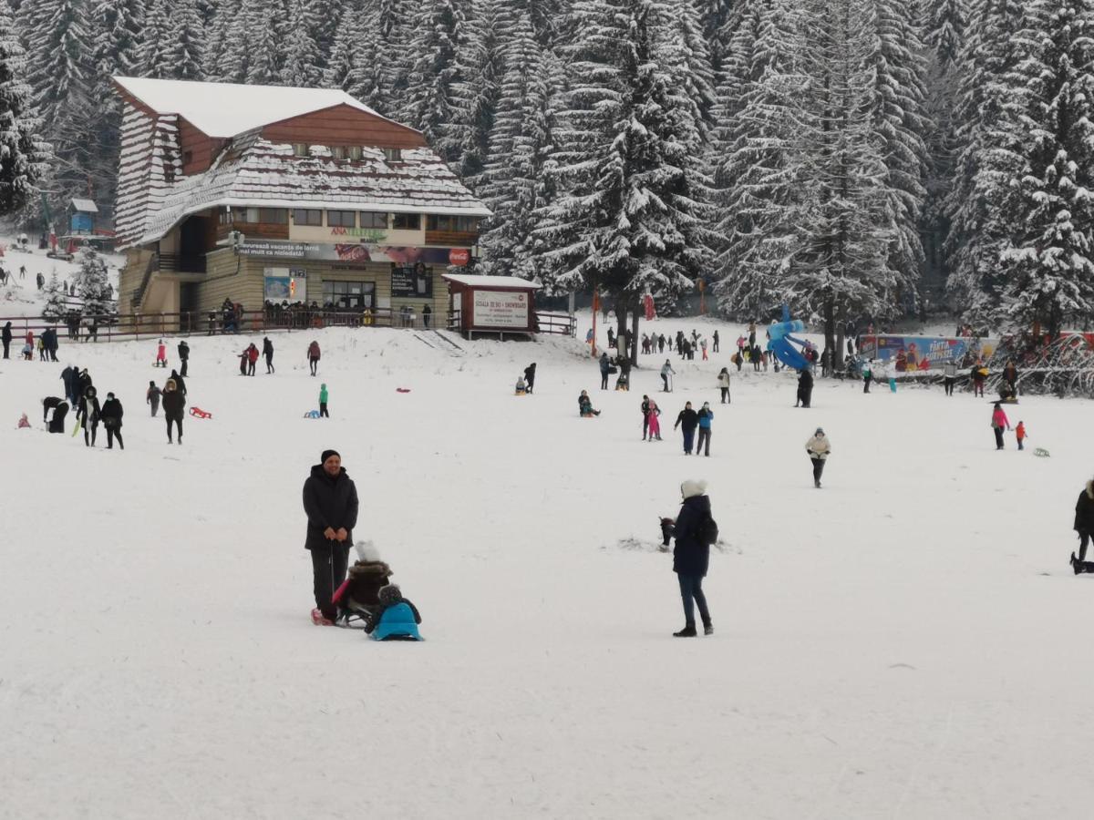 Appartamento Apartament Ana Poiana Brasov Esterno foto