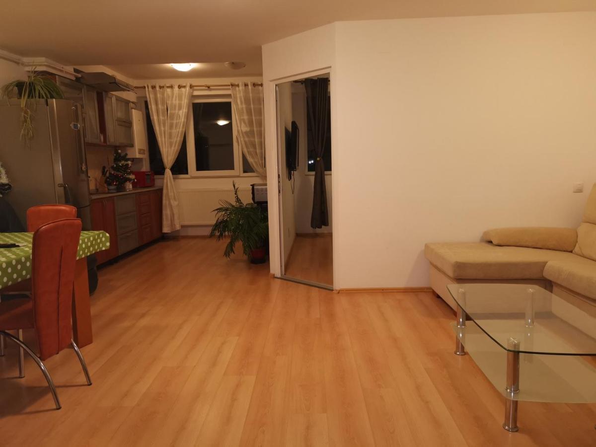 Appartamento Apartament Ana Poiana Brasov Esterno foto