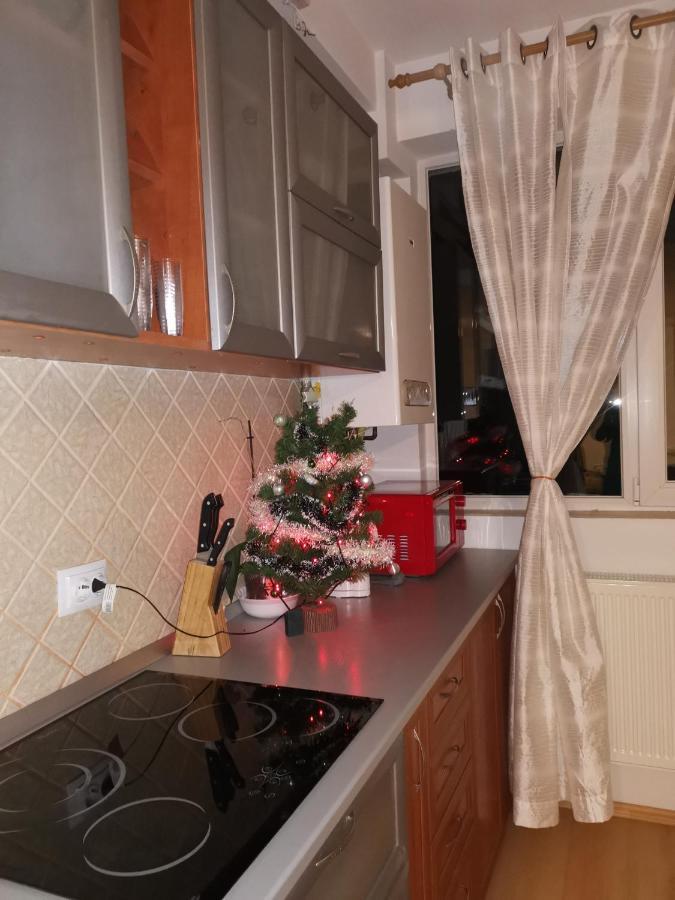 Appartamento Apartament Ana Poiana Brasov Esterno foto