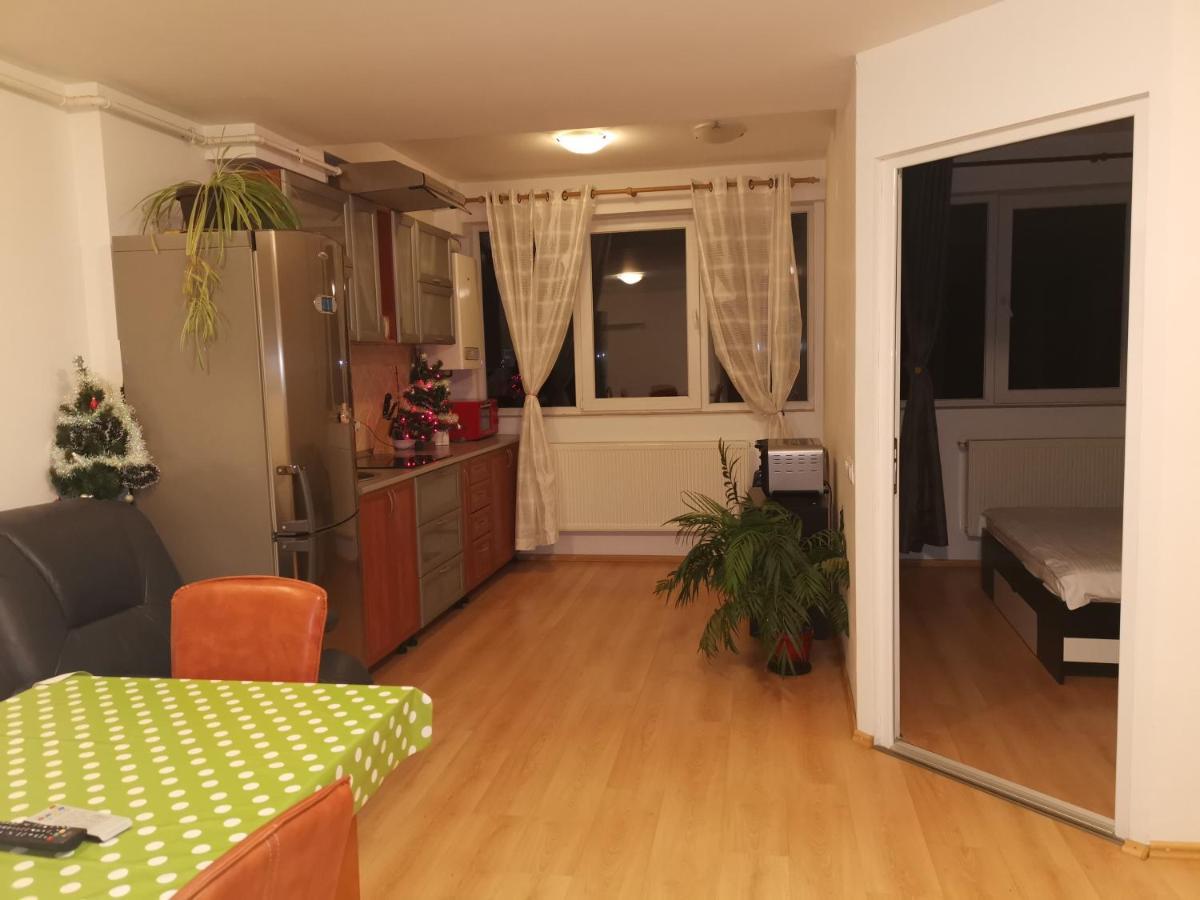 Appartamento Apartament Ana Poiana Brasov Esterno foto