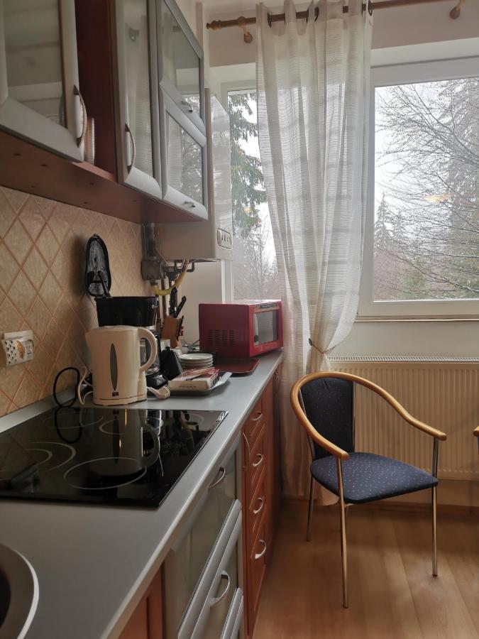 Appartamento Apartament Ana Poiana Brasov Esterno foto