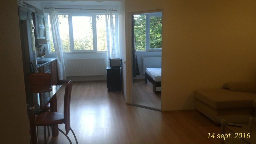 Appartamento Apartament Ana Poiana Brasov Esterno foto